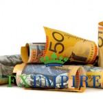 AUD/USD Fundamental Analysis Jan. 30, 2012 Forecast