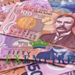 NZD/USD Fundamental Analysis Jan.19, 2012 Forecast NZD/USD Fundamental Analysis Jan.19, 2012 Forecast