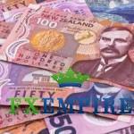 NZD/USD Fundamental Analysis March 1, 2012, Forecast NZD/USD Fundamental Analysis March 1, 2012, Forecast