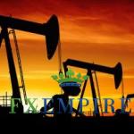Crude Oil Fundamental Analysis Jan. 17, 2012, Forecast